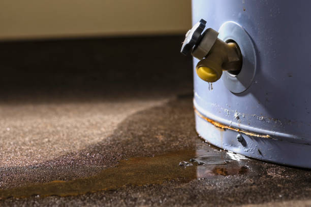  Rock Creek, MN Water damage restoration Pros