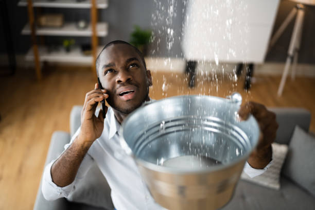 Best Water damage restoration near me  in Rock Creek, MN