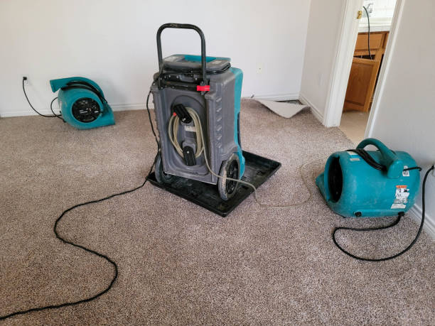 Best 24-hour water damage restoration  in Rock Creek, MN