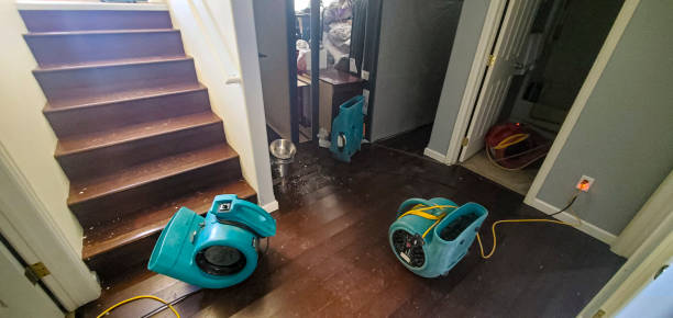 Best Residential water damage restoration  in Rock Creek, MN