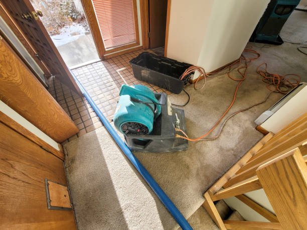 Best Flooded house restoration  in Rock Creek, MN