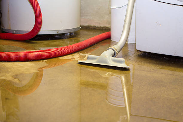 Best Carpet water damage restoration  in Rock Creek, MN