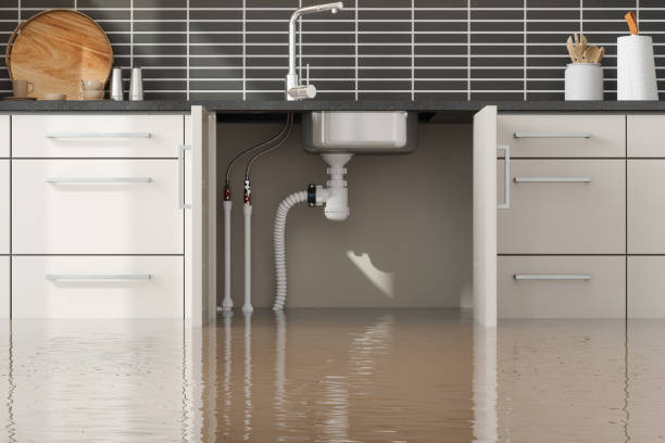 Best Carpet water damage restoration  in Rock Creek, MN