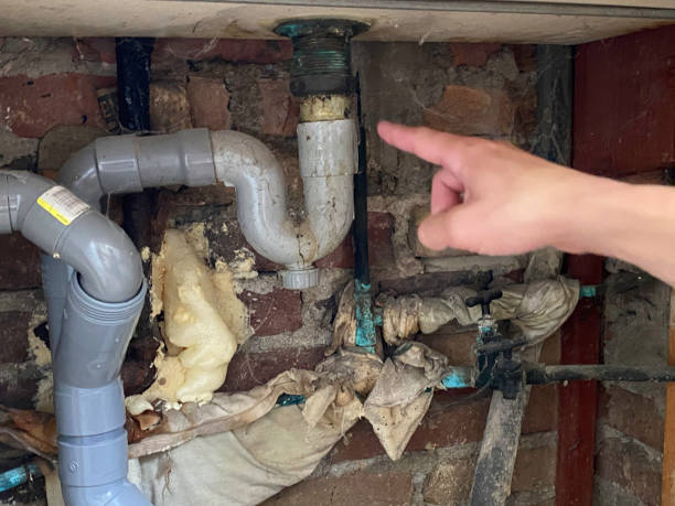 Best Water damage restoration cost  in Rock Creek, MN