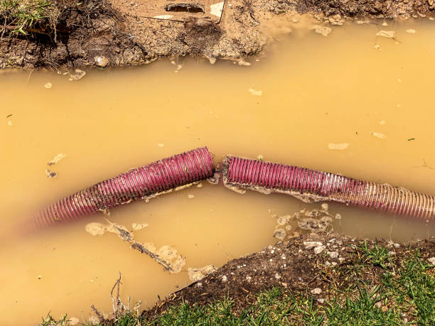 Best Sewage cleanup and water damage restoration  in Rock Creek, MN
