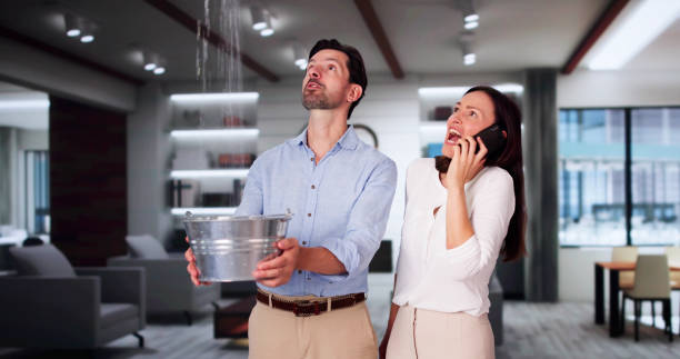Best Professional water damage repair  in Rock Creek, MN