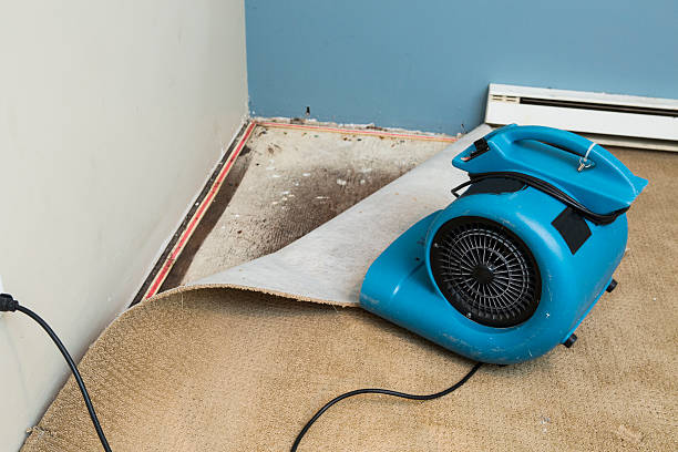 Carpet water damage restoration in MN